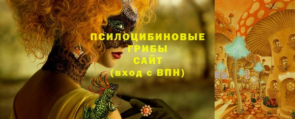 прущий лед Алексеевка